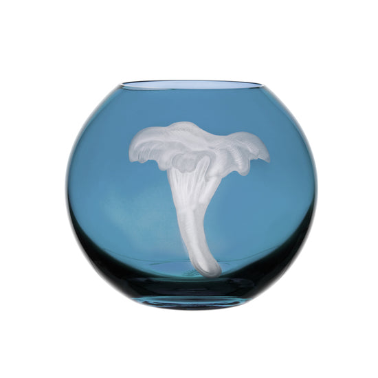 Mushrooms Chanterelle