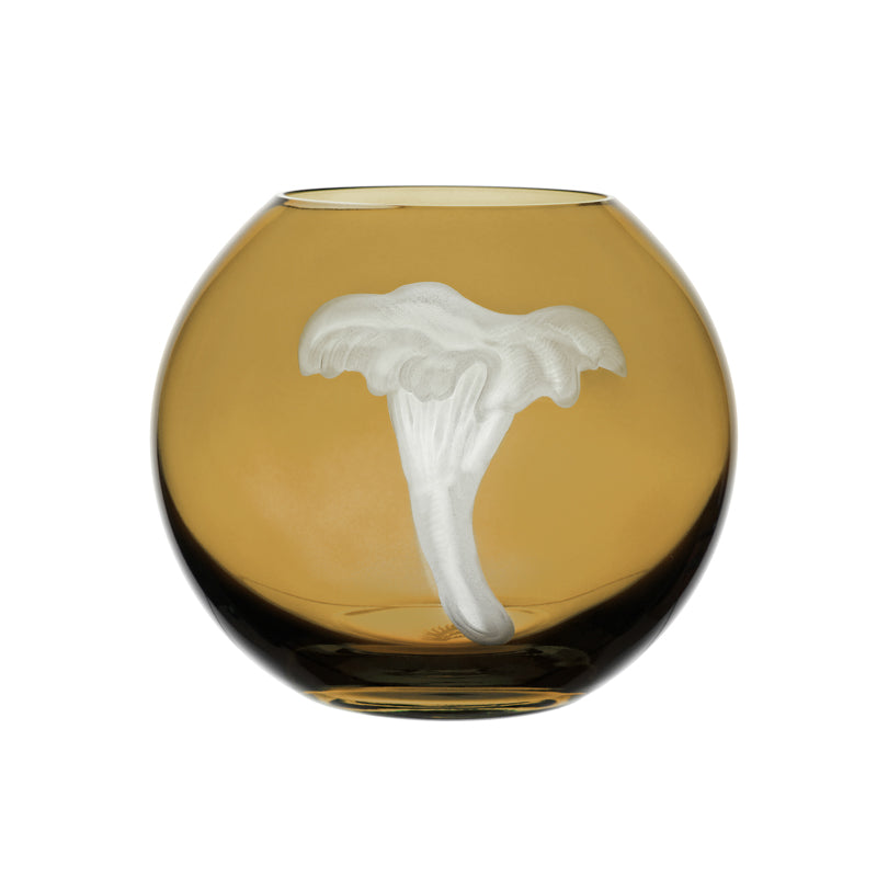 Mushrooms Chanterelle