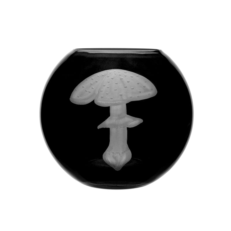 Mushrooms Fly Amanita