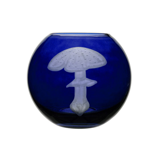 Mushrooms Fly Amanita