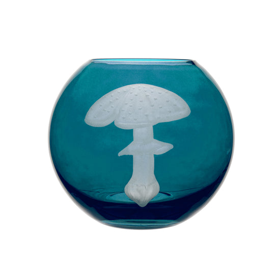 Mushrooms Fly Amanita