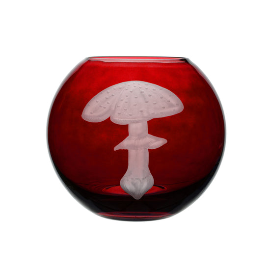 Mushrooms Fly Amanita