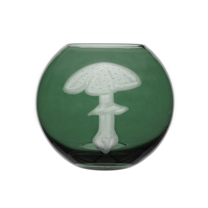 Mushrooms Fly Amanita