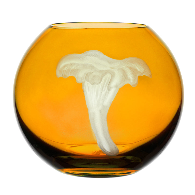 Mushrooms Chanterelle