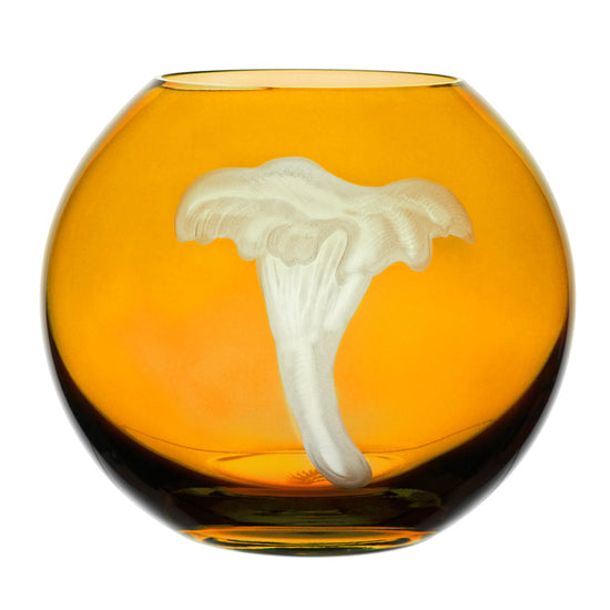 Mushrooms Chanterelle