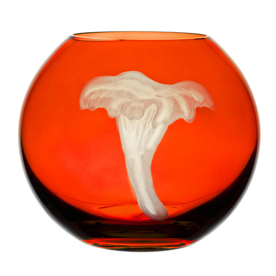 Mushrooms Chanterelle