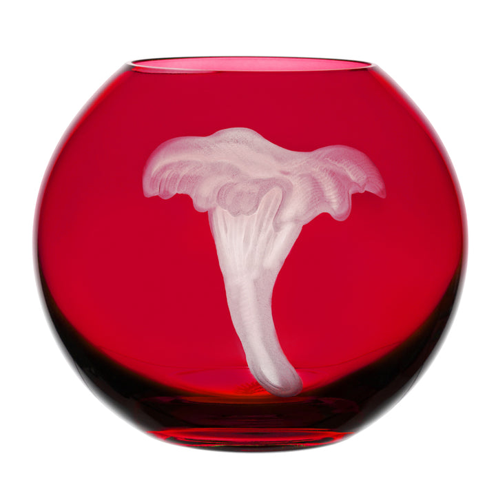 Mushrooms Chanterelle