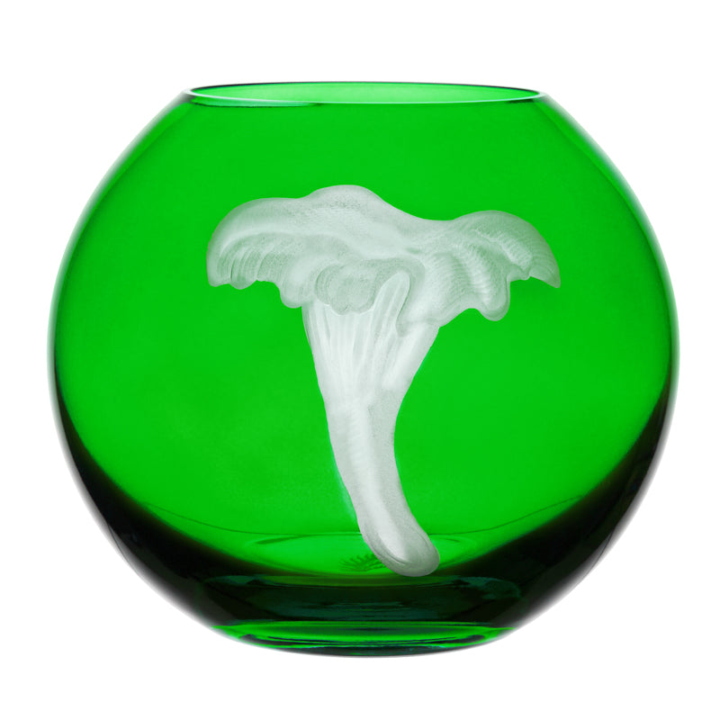 Mushrooms Chanterelle