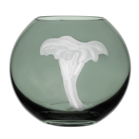 Mushrooms Chanterelle