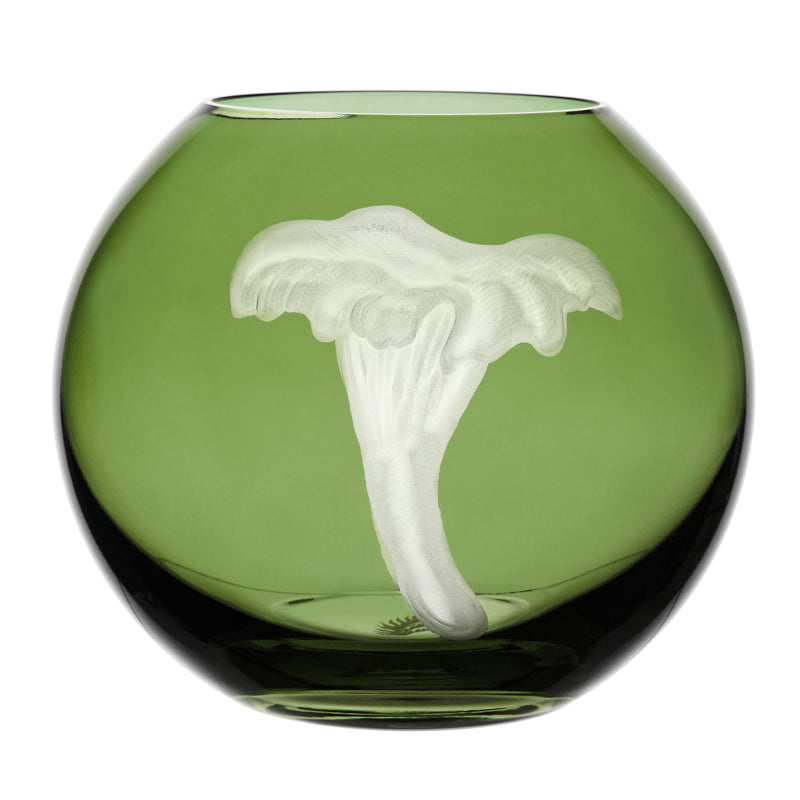 Mushrooms Chanterelle