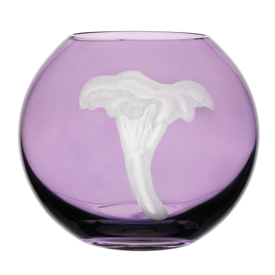 Mushrooms Chanterelle