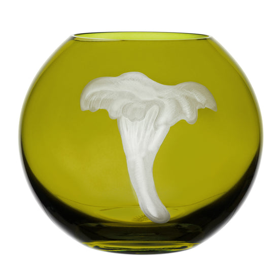 Mushrooms Chanterelle