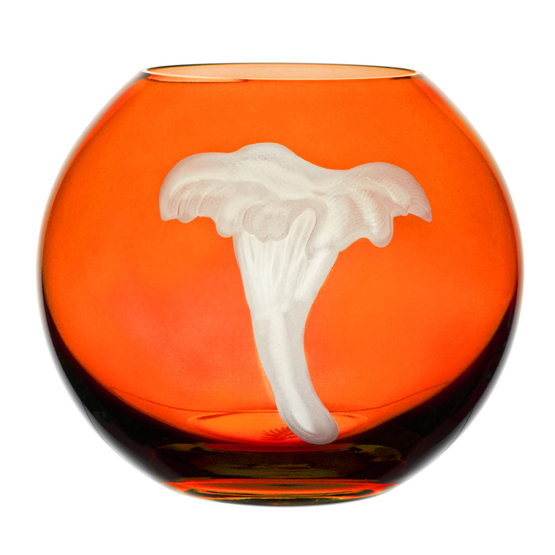 Mushrooms Chanterelle