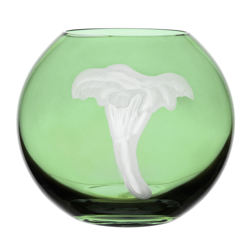 Mushrooms Chanterelle