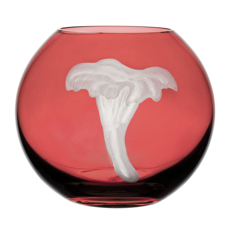 Mushrooms Chanterelle