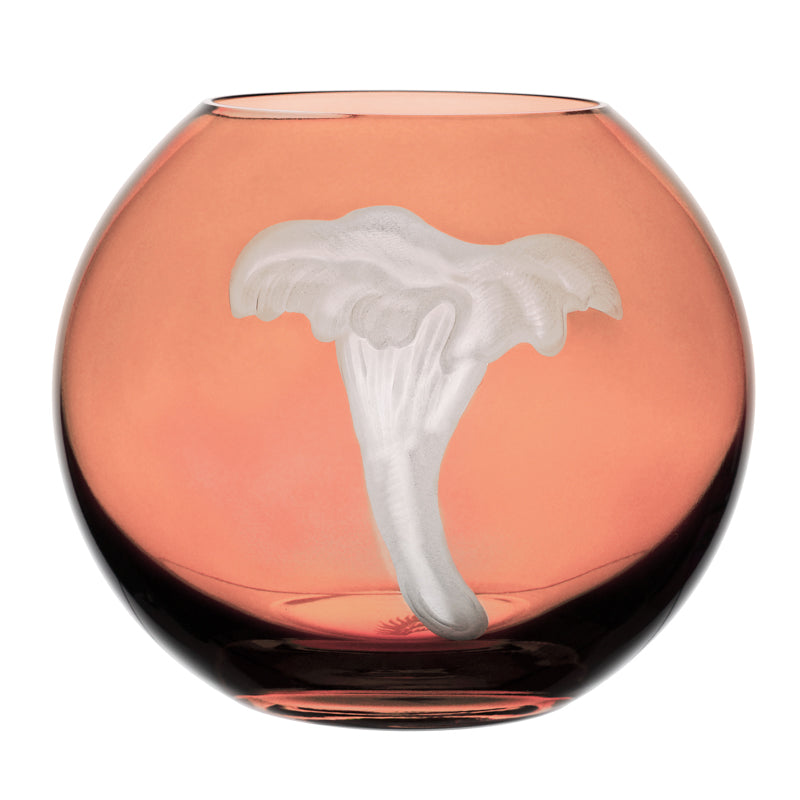 Mushrooms Chanterelle