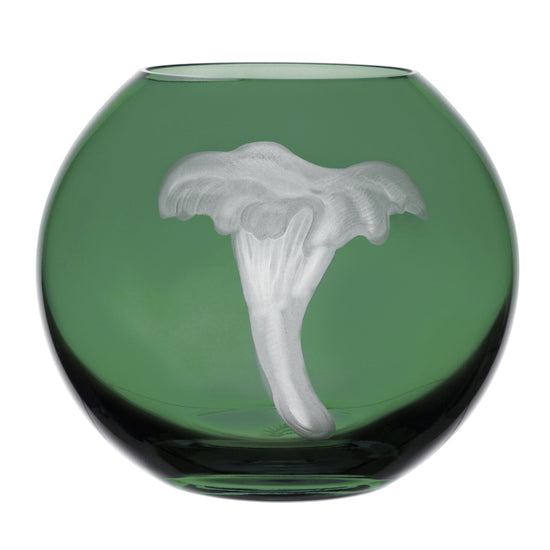 Mushrooms Chanterelle