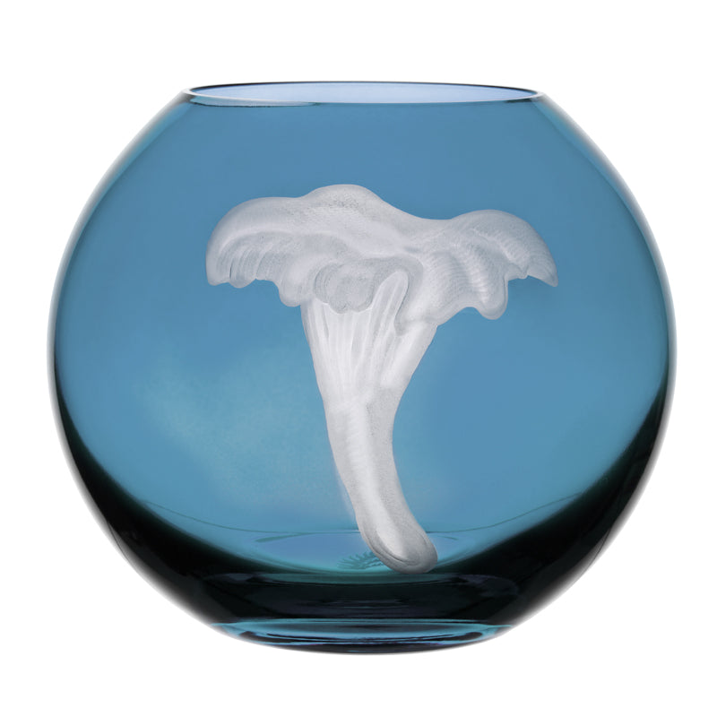 Mushrooms Chanterelle