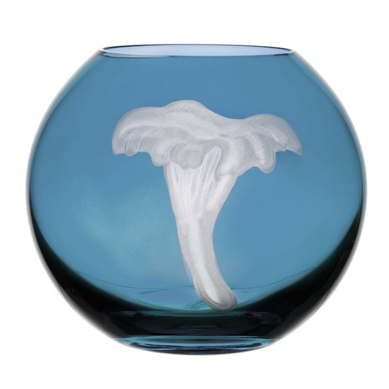 Mushrooms Chanterelle