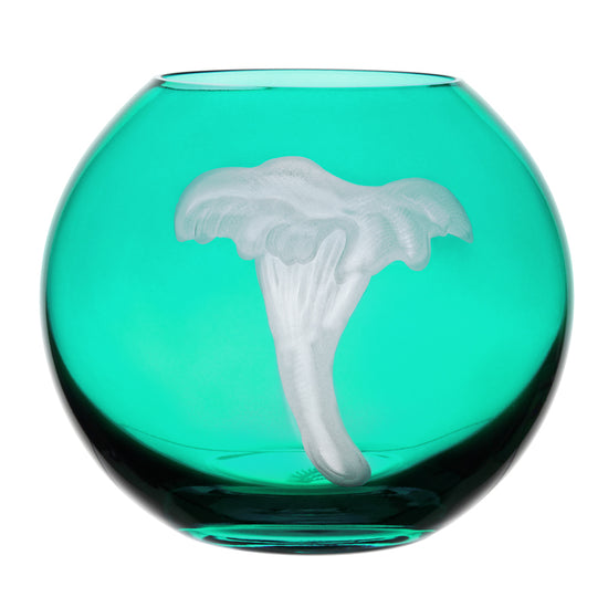 Mushrooms Chanterelle