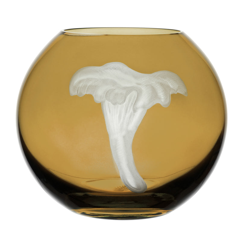 Mushrooms Chanterelle