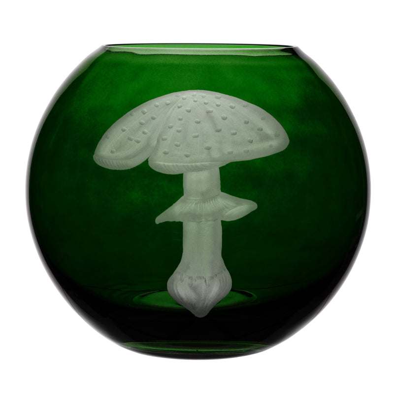 Mushrooms Fly Amanita