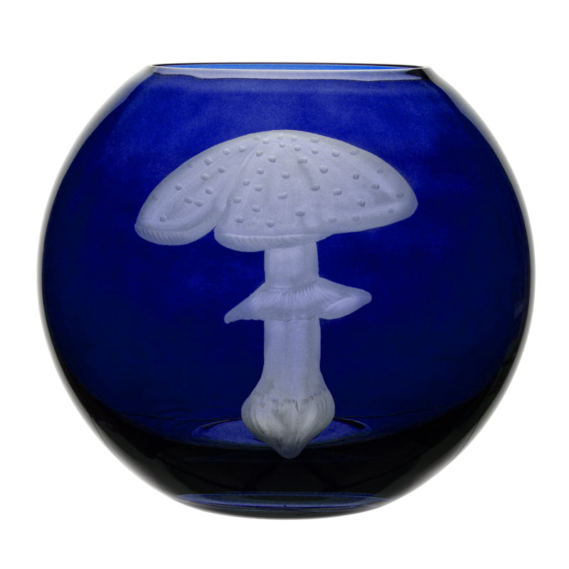 Mushrooms Fly Amanita