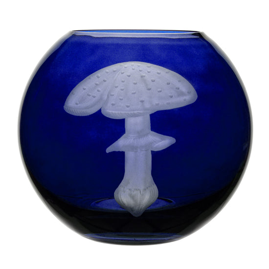 Mushrooms Fly Amanita