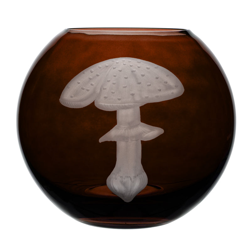 Mushrooms Fly Amanita