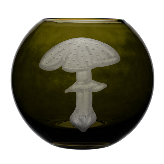 Mushrooms Fly Amanita