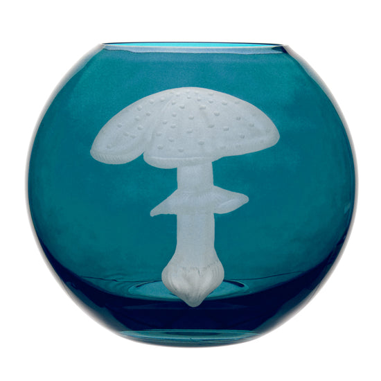 Mushrooms Fly Amanita