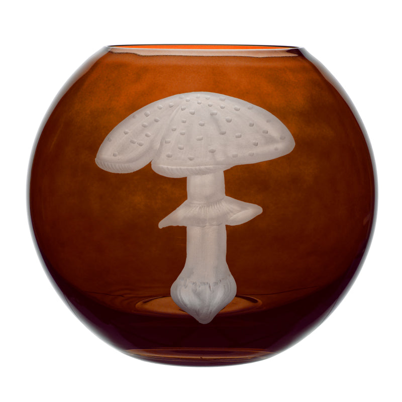 Mushrooms Fly Amanita