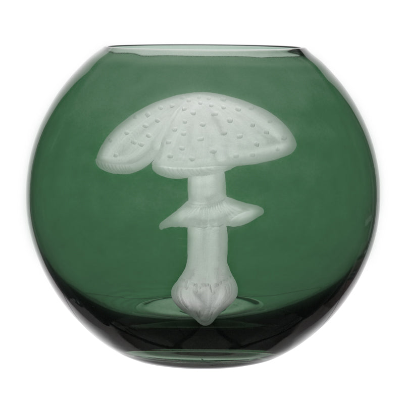 Mushrooms Fly Amanita