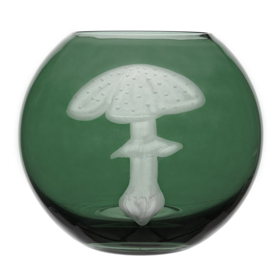 Mushrooms Fly Amanita