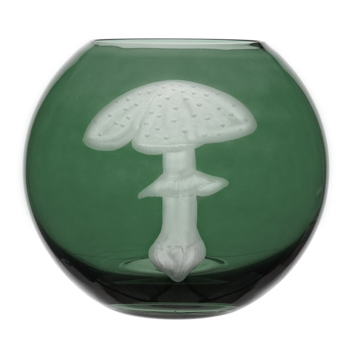 Mushrooms Fly Amanita