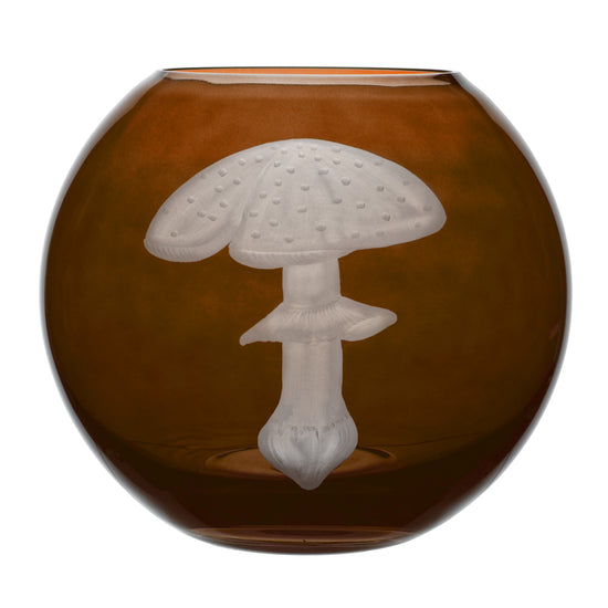 Mushrooms Fly Amanita