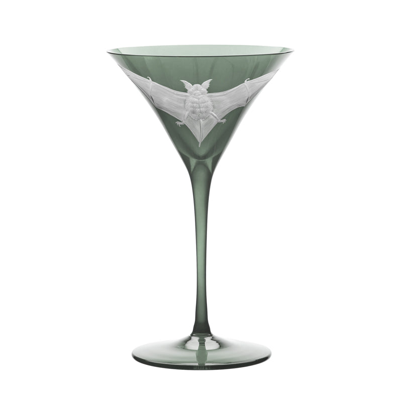 Cabinet of Curiosities Bat