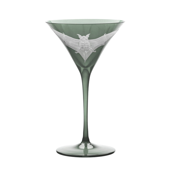 Cabinet of Curiosities Bat