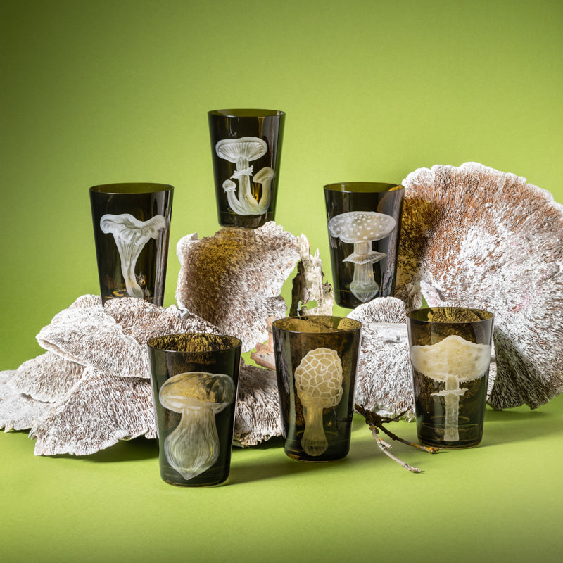 Mushrooms Collection Set