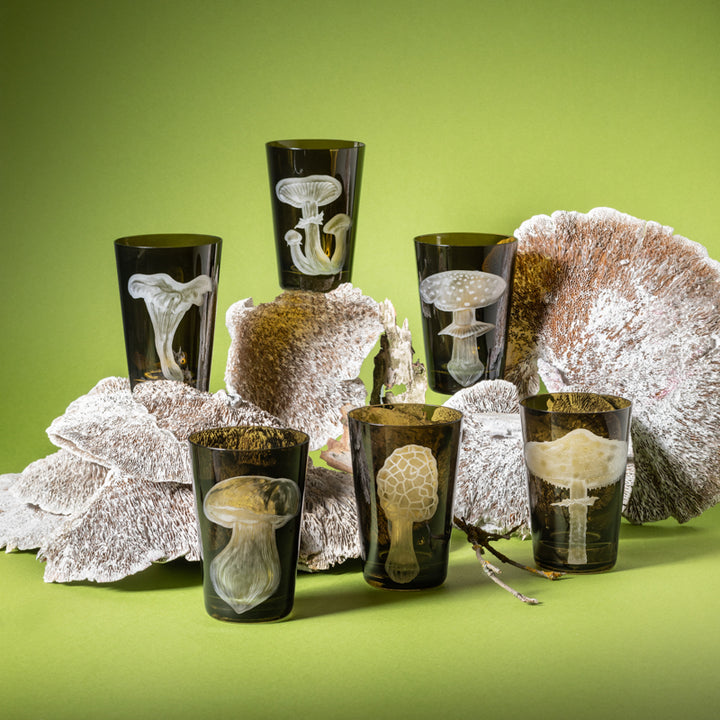 Mushrooms Collection Set