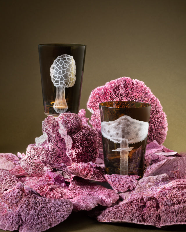 Mushrooms Parasol