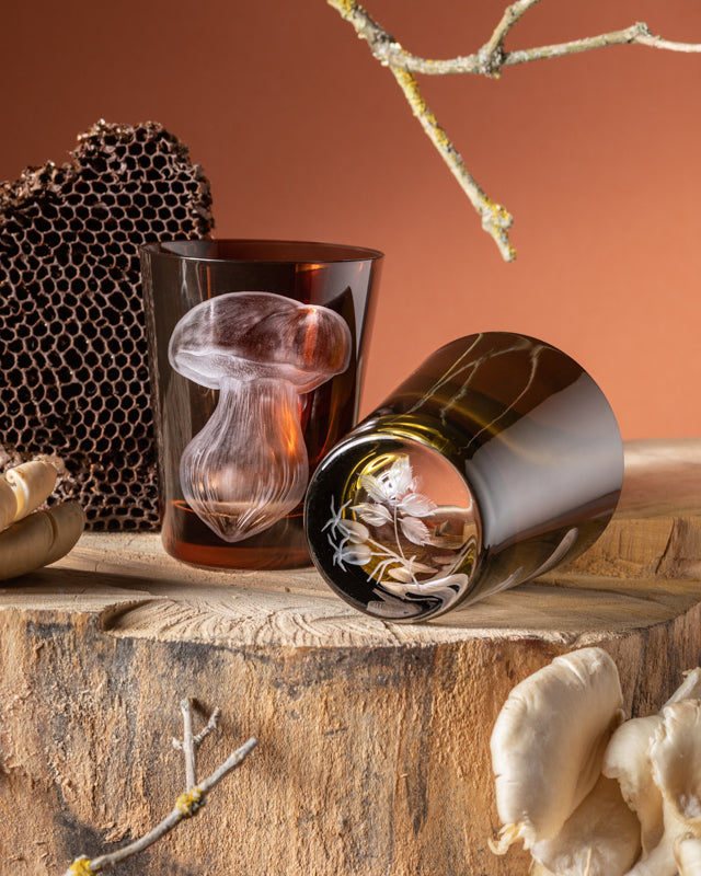 Mushrooms Summer Cep