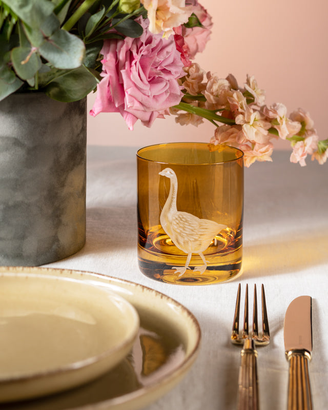 Barnyard Goose