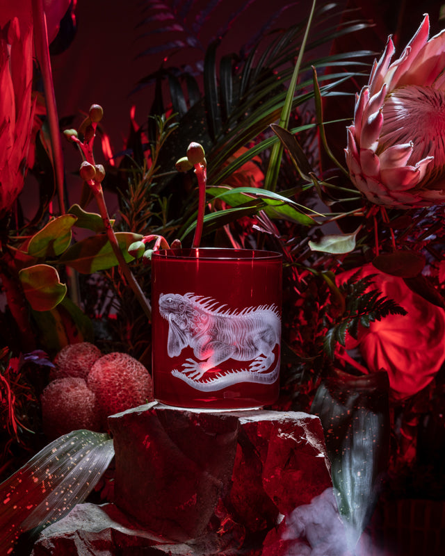 Jungle Baroque III Iguana