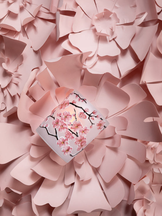 Sakura - Flowers with Gold Center