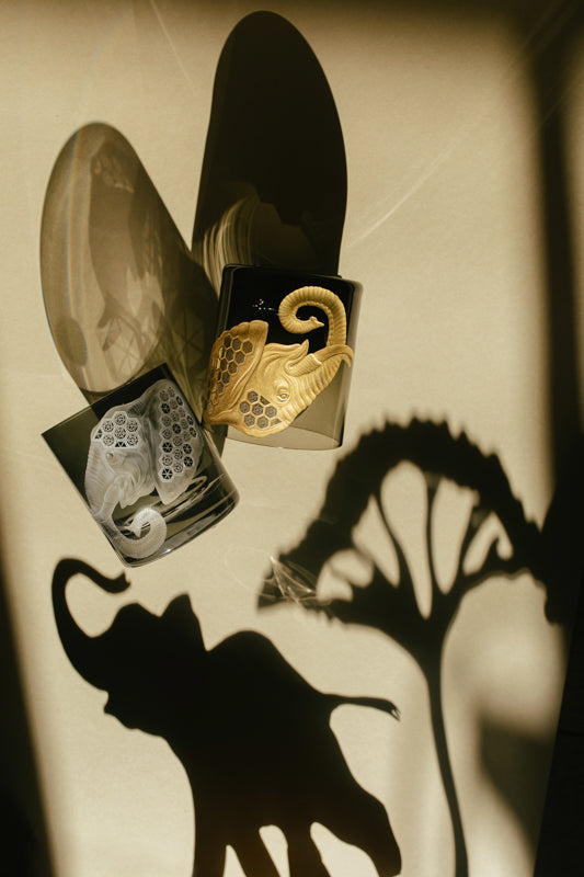 African Safari Elephant