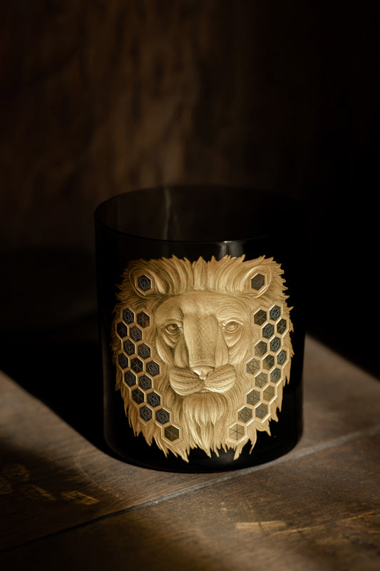 African Safari Lion