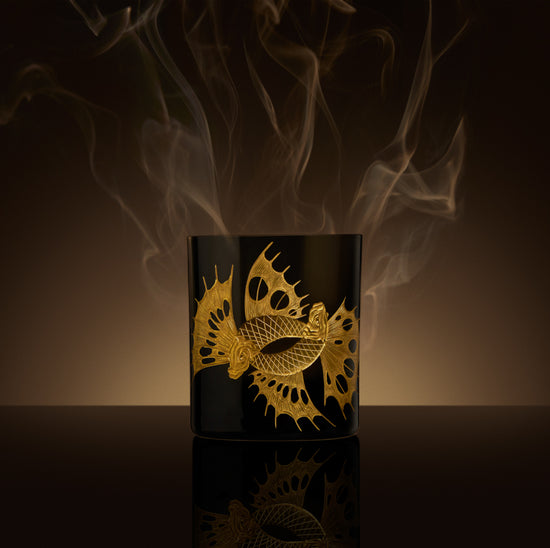 Waltz of the Wild Collection Fighting Fish