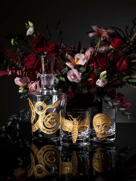 Cabinet of Curiosities Butterfly