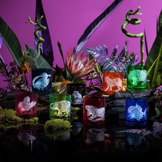 Jungle Baroque III Collection Set